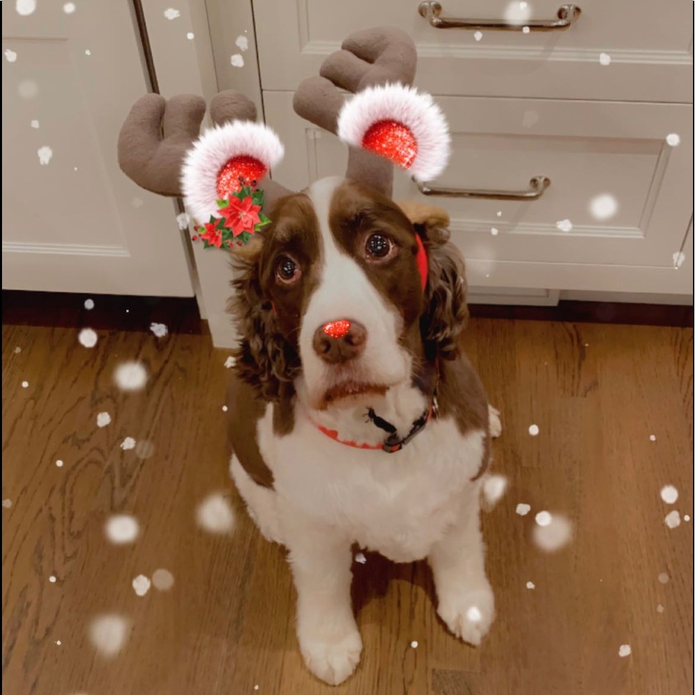 Meet your Posher, Anna